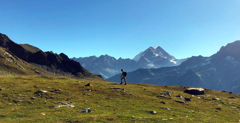 La préparation des courses estivale commence dès le printemps… voir avant